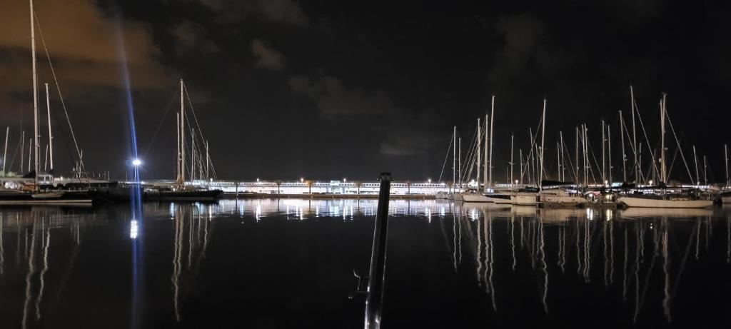 瓦伦西亚Zeus的一群船在晚上停靠在码头