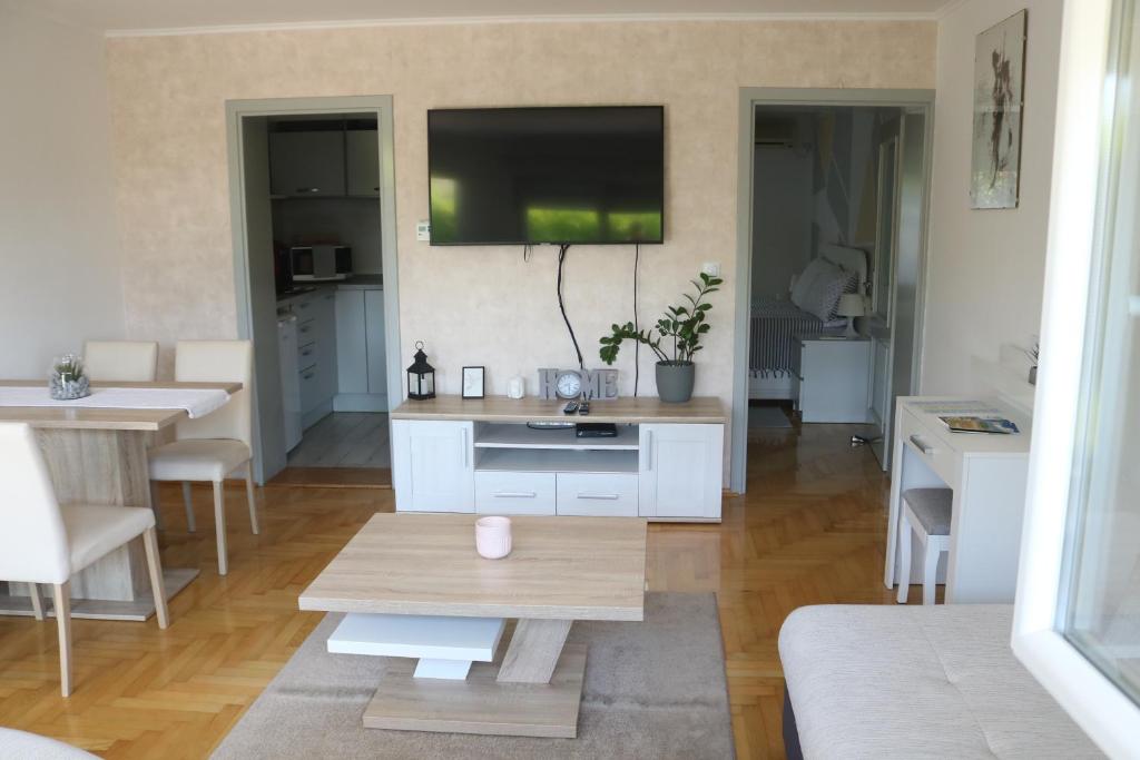 Televízia a/alebo spoločenská miestnosť v ubytovaní Apartment Elize