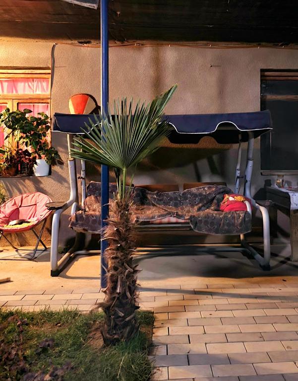 Fotografie z fotogalerie ubytování Green Garden - Crimea v destinaci Tbilisi City