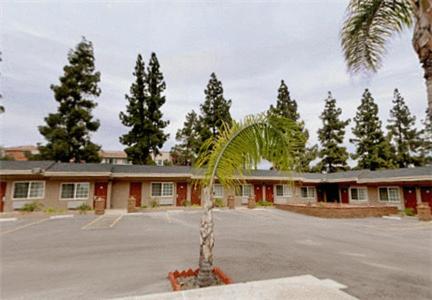 a palm tree in a parking lot in front of a motel at Americas Best Value Inn San Bernardino in San Bernardino