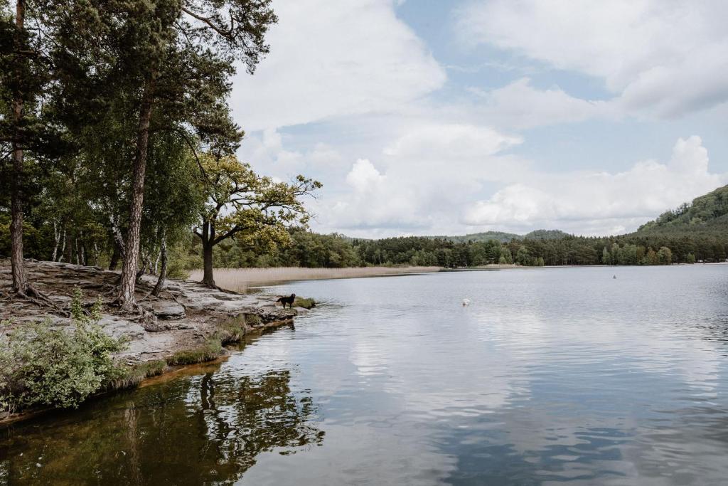 Fotografie z fotogalerie ubytování Řadová chata Máchovo jezero, Staré splavy - Pod Borným v destinaci Staré Splavy