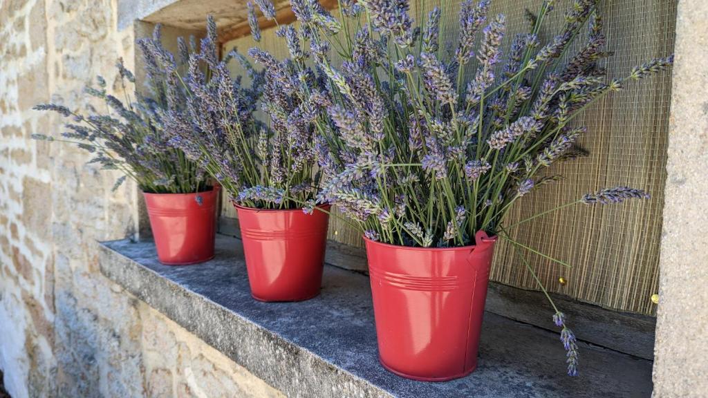 three red vases with purple plants in them on a ledge at Le petit Moulin de la Motte in Bellenot-sous-Pouilly
