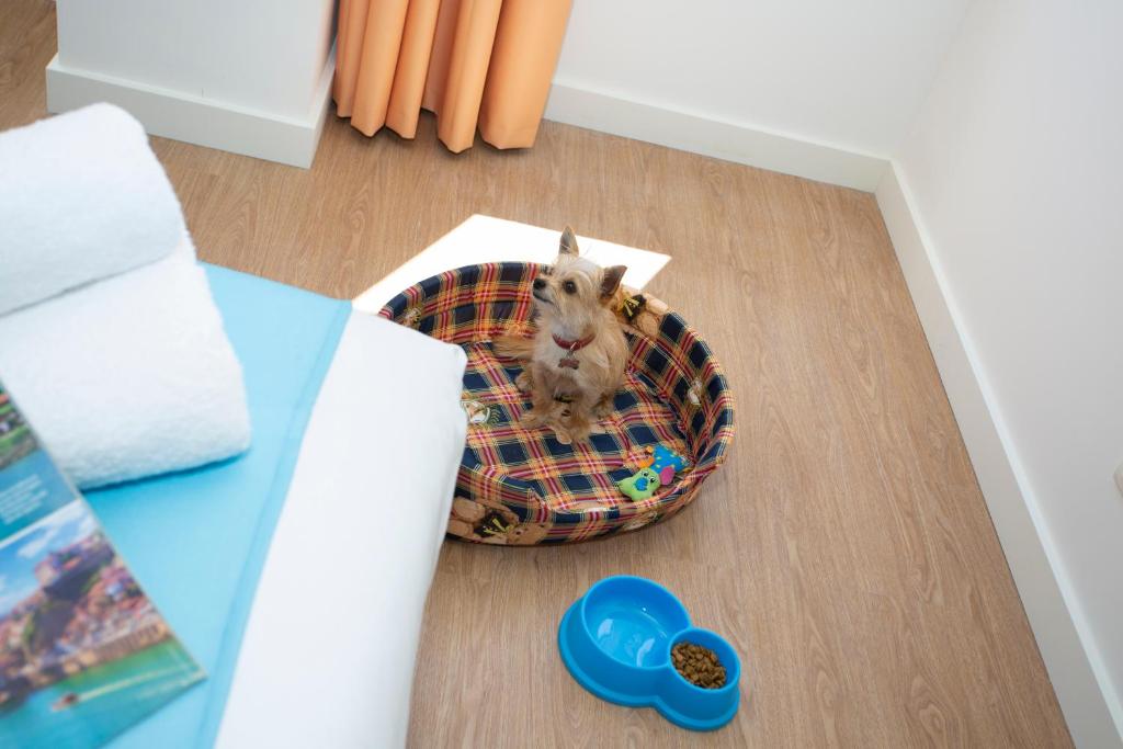 Casual Raízes Porto - Resim 24