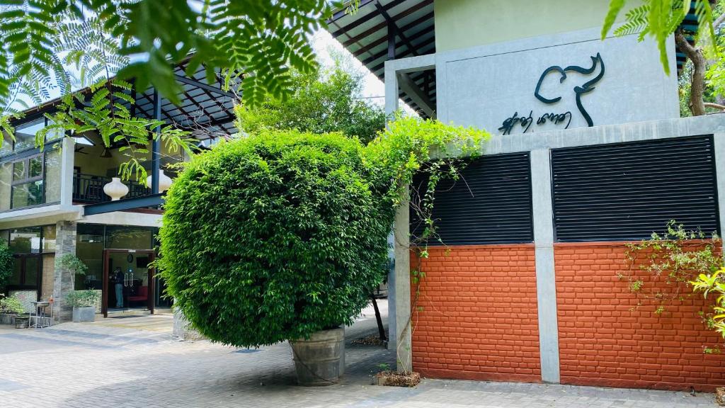 Gallery image of Eth Yahana Hotel in Kataragama