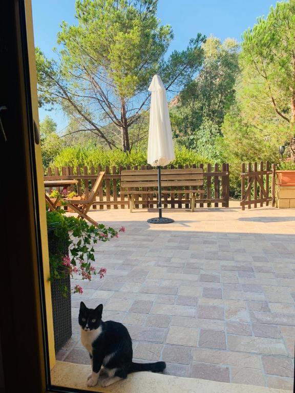 Domácí mazlíčci ubytovaní s hosty v ubytování B&B La Baita Del Sud