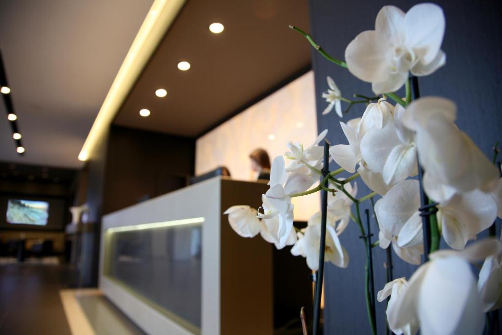 Fotografija v galeriji nastanitve Ego Hotel v Anconi