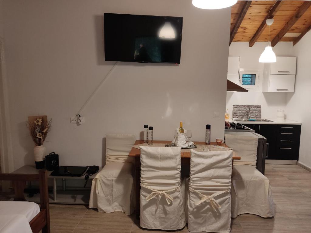 Kuchyň nebo kuchyňský kout v ubytování CORFU OASIS studio