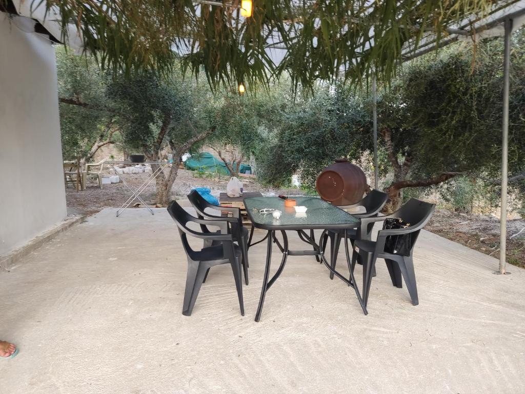 Zahrada ubytování CORFU OASIS studio