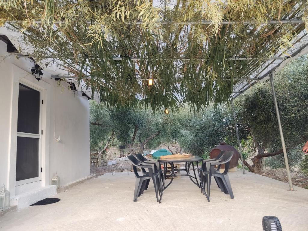 Zahrada ubytování CORFU OASIS studio