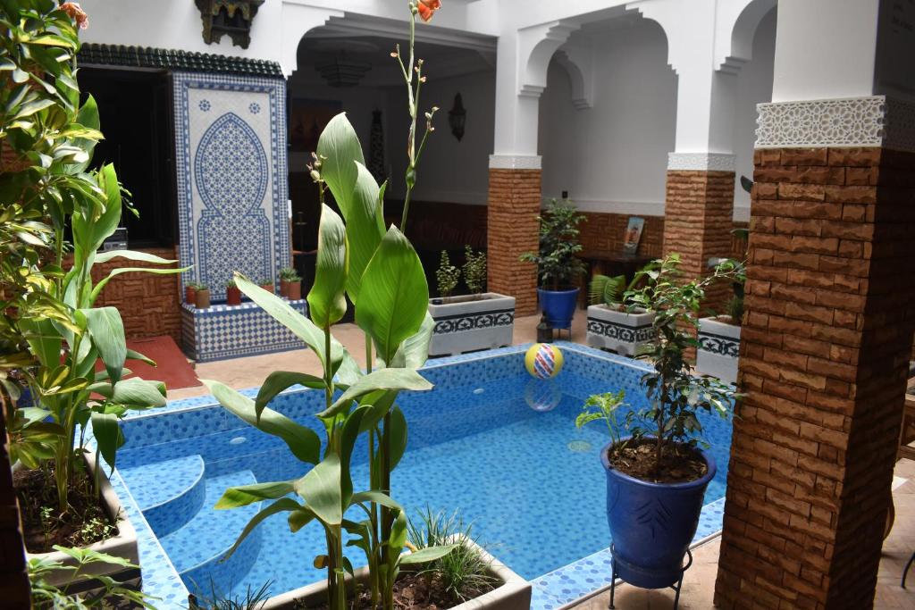 Bazén v ubytovaní Riad Dar Alamane alebo v jeho blízkosti