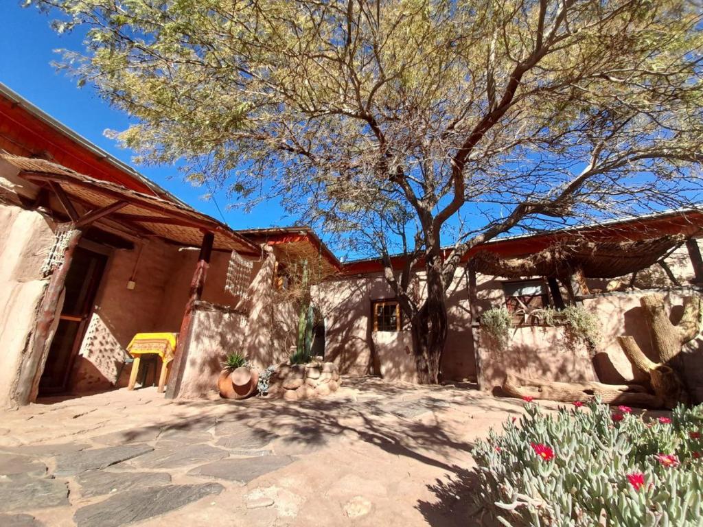 uma casa com uma árvore em frente em Hostal Sonchek em San Pedro de Atacama