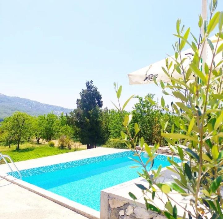 a large swimming pool in a yard with trees at Apartmani Dumezic in Bar