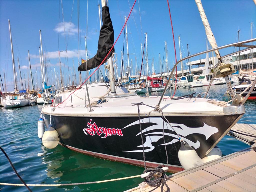 czarno-biała łódź zacumowana w porcie w obiekcie Canarian Pirat w mieście Arrecife