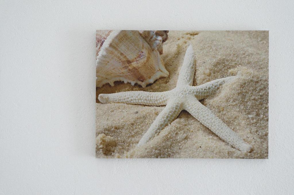 Fotografie z fotogalerie ubytování Hostal Capri v destinaci Es Pujols