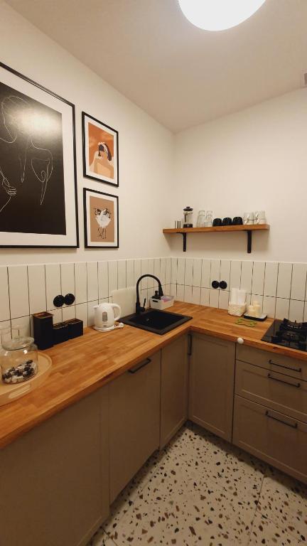 Kuchyňa alebo kuchynka v ubytovaní Kurkowa Apartment