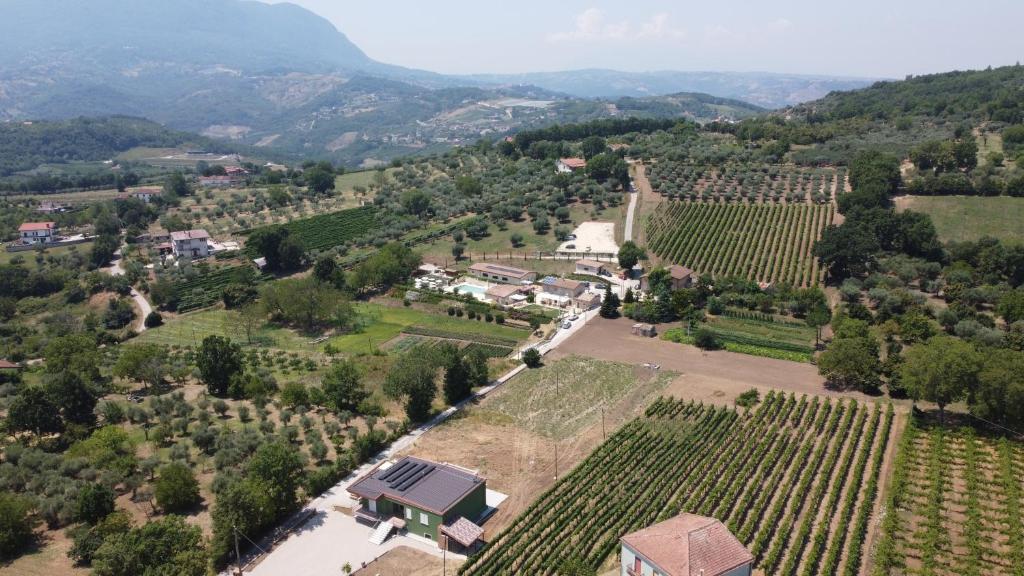 una vista aérea de un viñedo con una casa en el medio en Il Poggio degli Antichi Sapori - Residence, en Paternopoli
