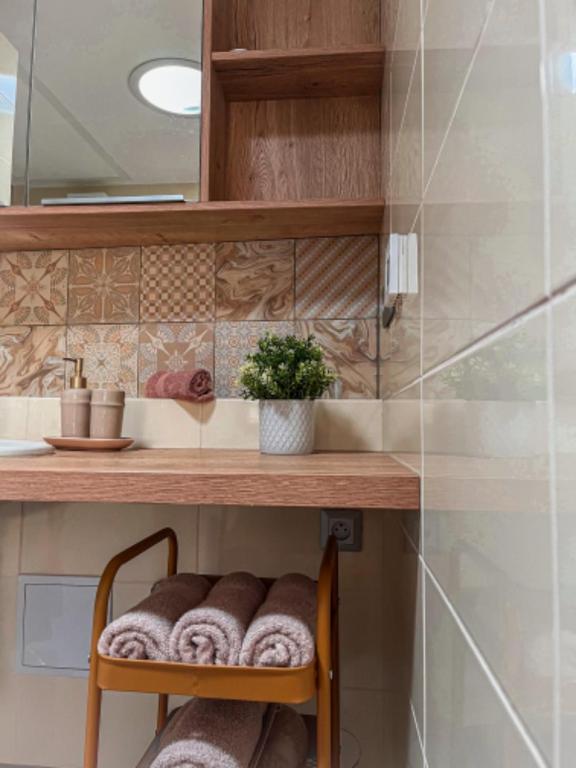 Koupelna v ubytování Apartmán NIKLAN