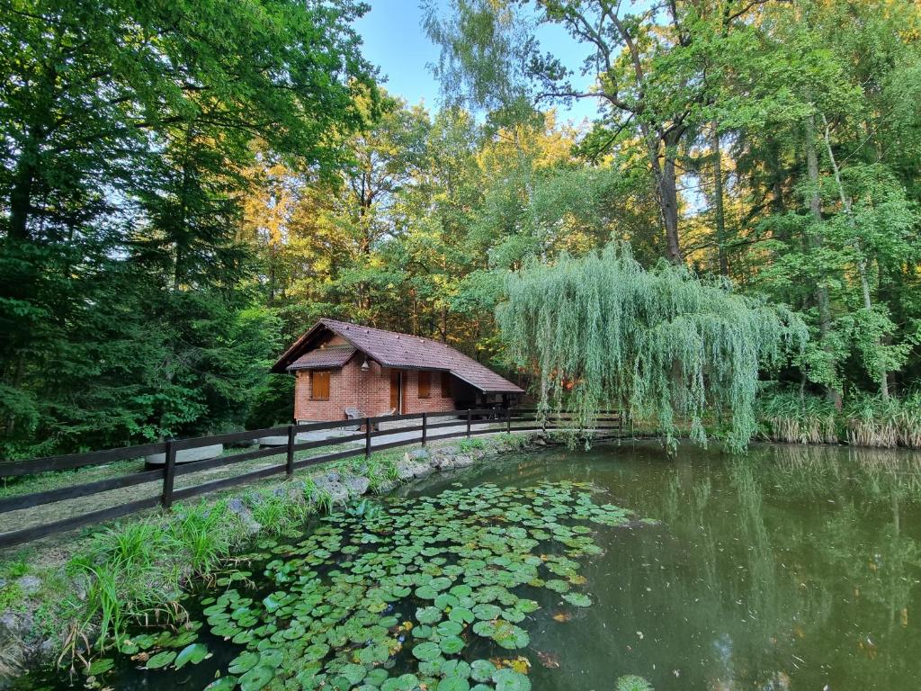 eine kleine Holzhütte neben einem Teich mit Lilien in der Unterkunft Cottage by the pond Pavel in Šmarje pri Jelšah