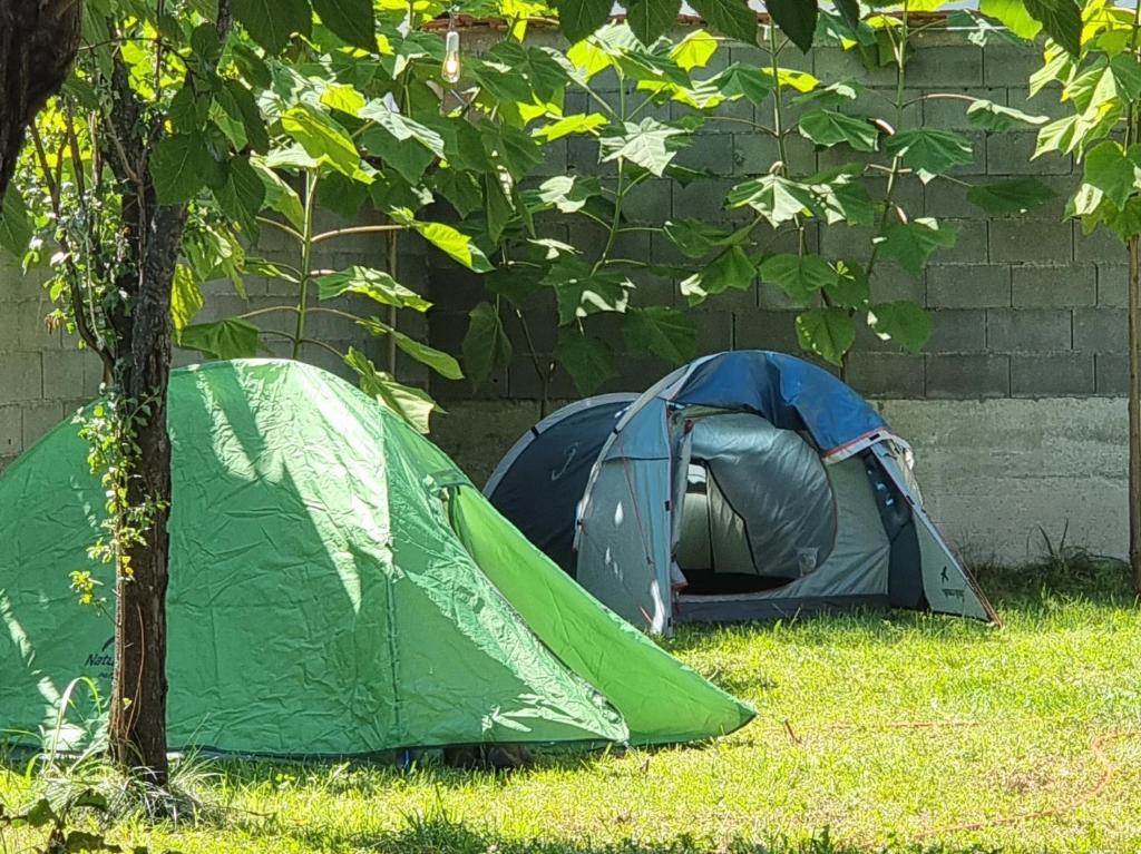 Zahrada ubytování Bora