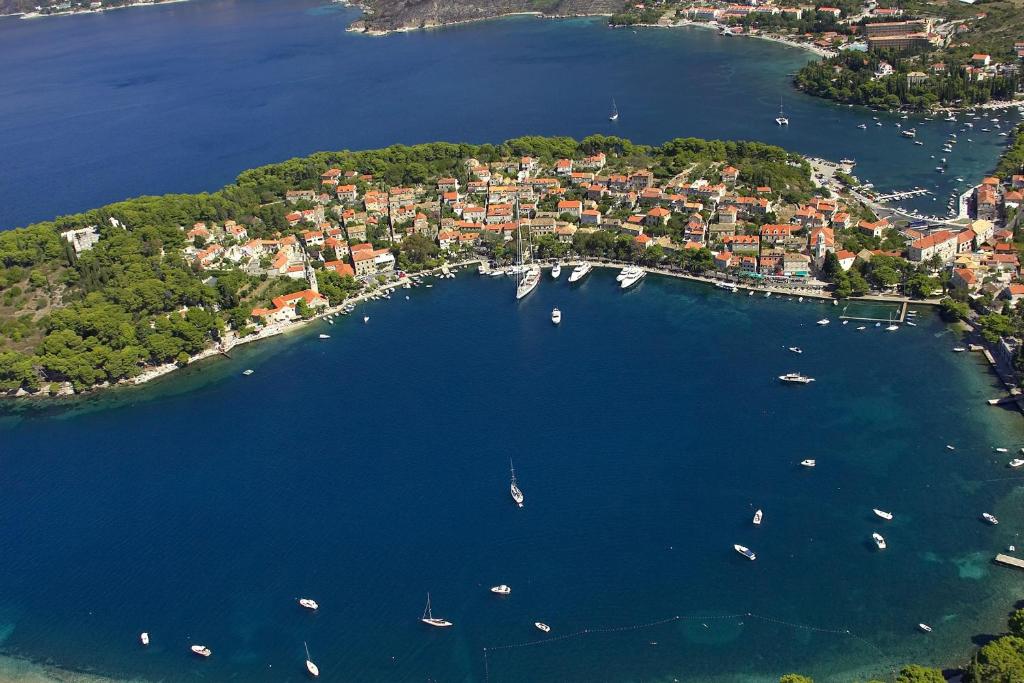 Fotografia z galérie ubytovania Rooms with a swimming pool Cavtat, Dubrovnik - 5222 v destinácii Cavtat