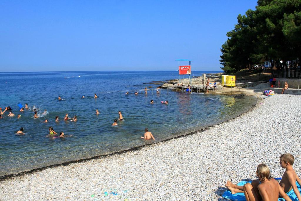 a group of people in the water at a beach at Apartments with WiFi Basanija, Umag - 7148 in Savudrija