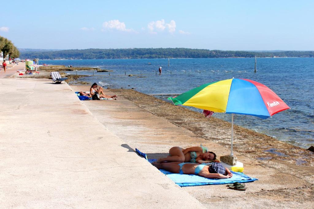 Příroda nedaleko apartmánu