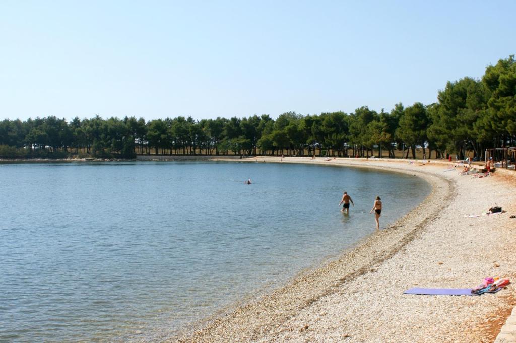 Příroda nedaleko apartmánu