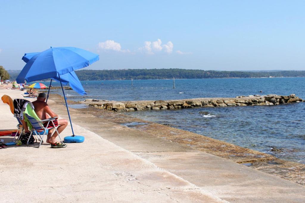 Příroda nedaleko apartmánu