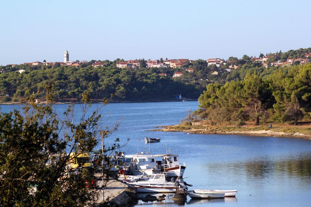 Príroda v okolí apartmánu