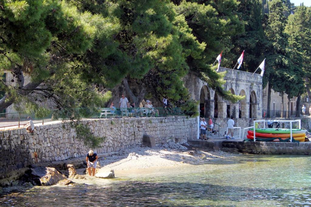 Fotografia z galérie ubytovania Apartments by the sea Cavtat, Dubrovnik - 8827 v destinácii Cavtat