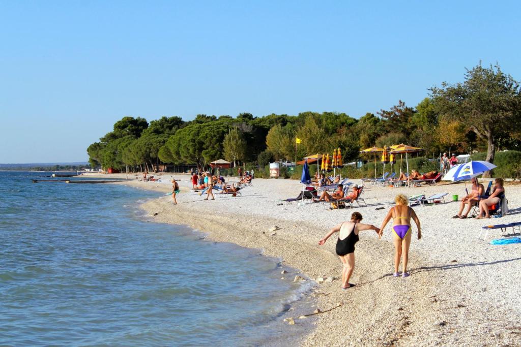 Príroda v okolí apartmánu