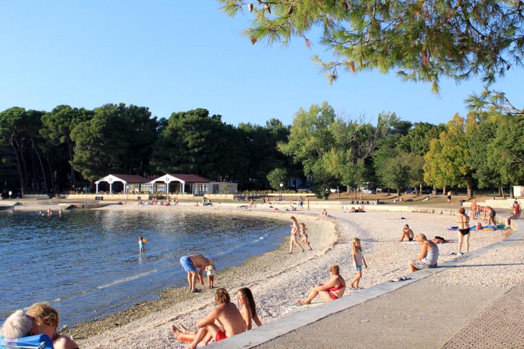 Príroda v okolí apartmánu