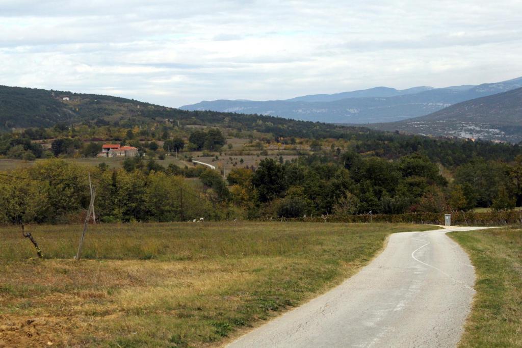 Příroda nedaleko apartmánu