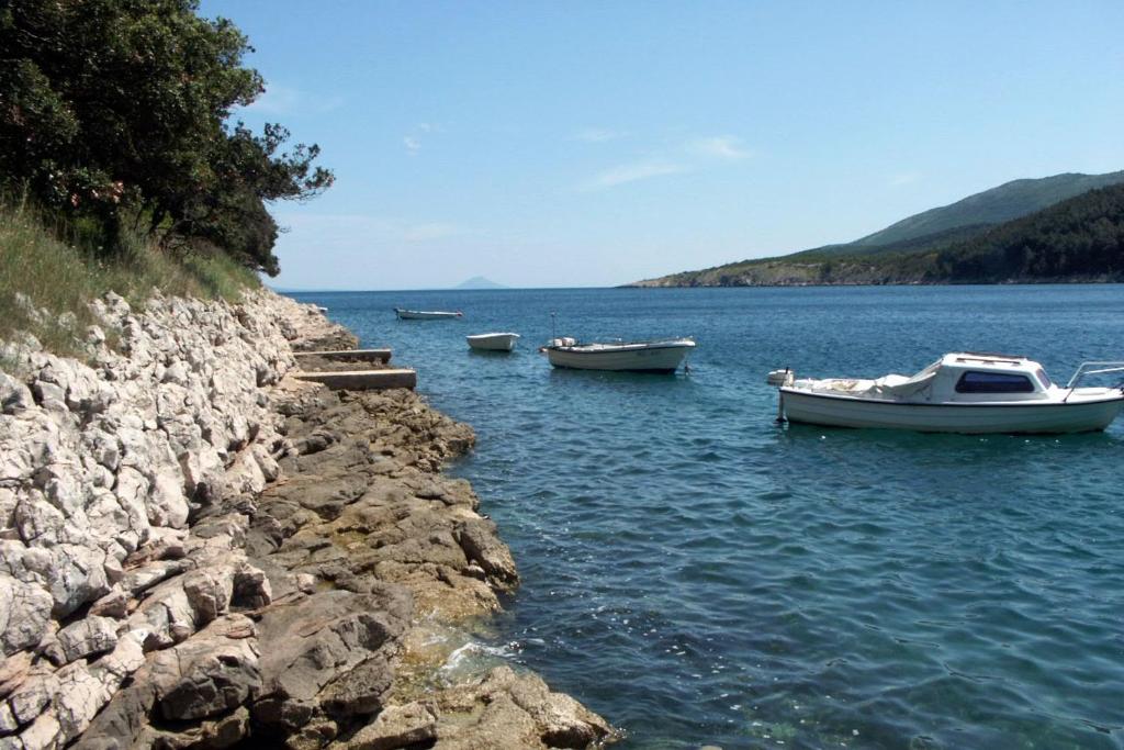 Príroda v okolí apartmánu