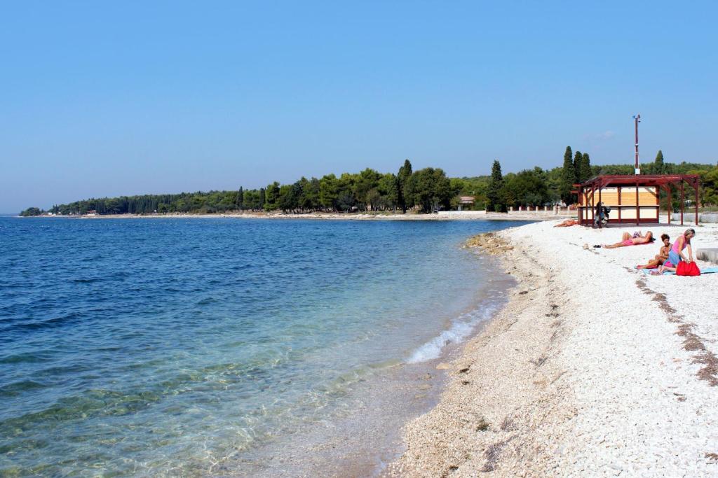 Príroda v okolí apartmánu