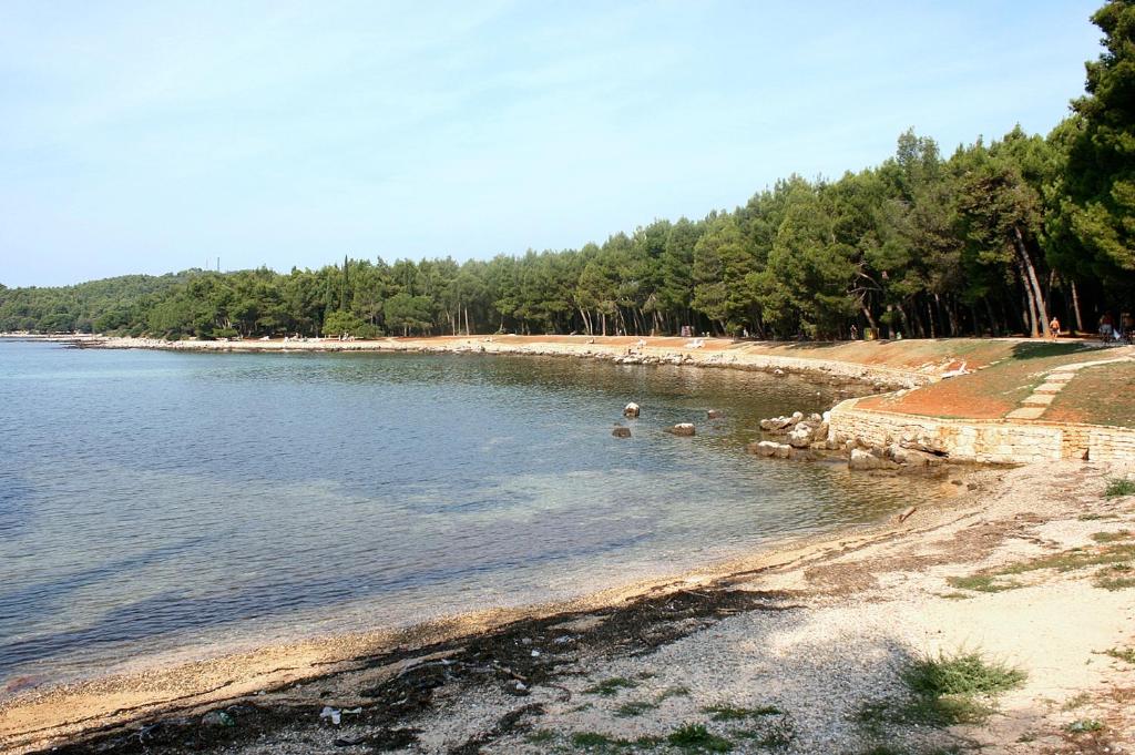 Fotografie z fotogalerie ubytování Apartments with a parking space Rovinj - 2401 v Rovinji