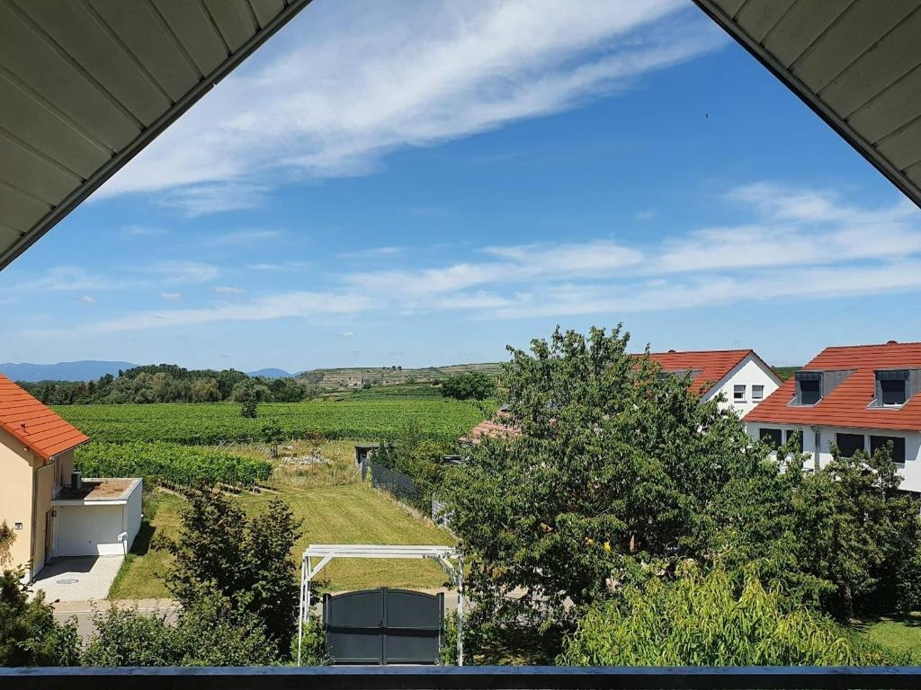 una casa con vistas a un viñedo en Gästehaus - Im Gärtle II en Niederrotweil