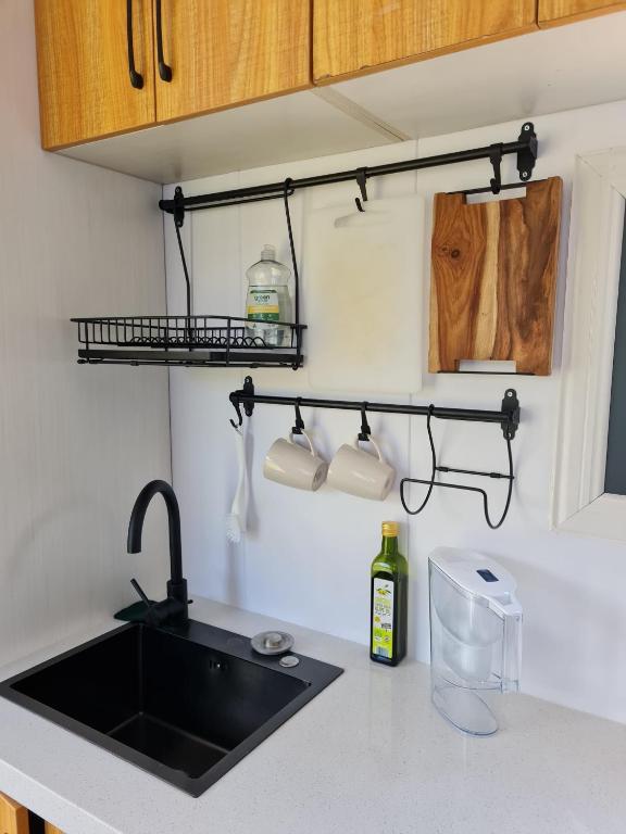 Kuchyň nebo kuchyňský kout v ubytování Tiny Home - Redbird