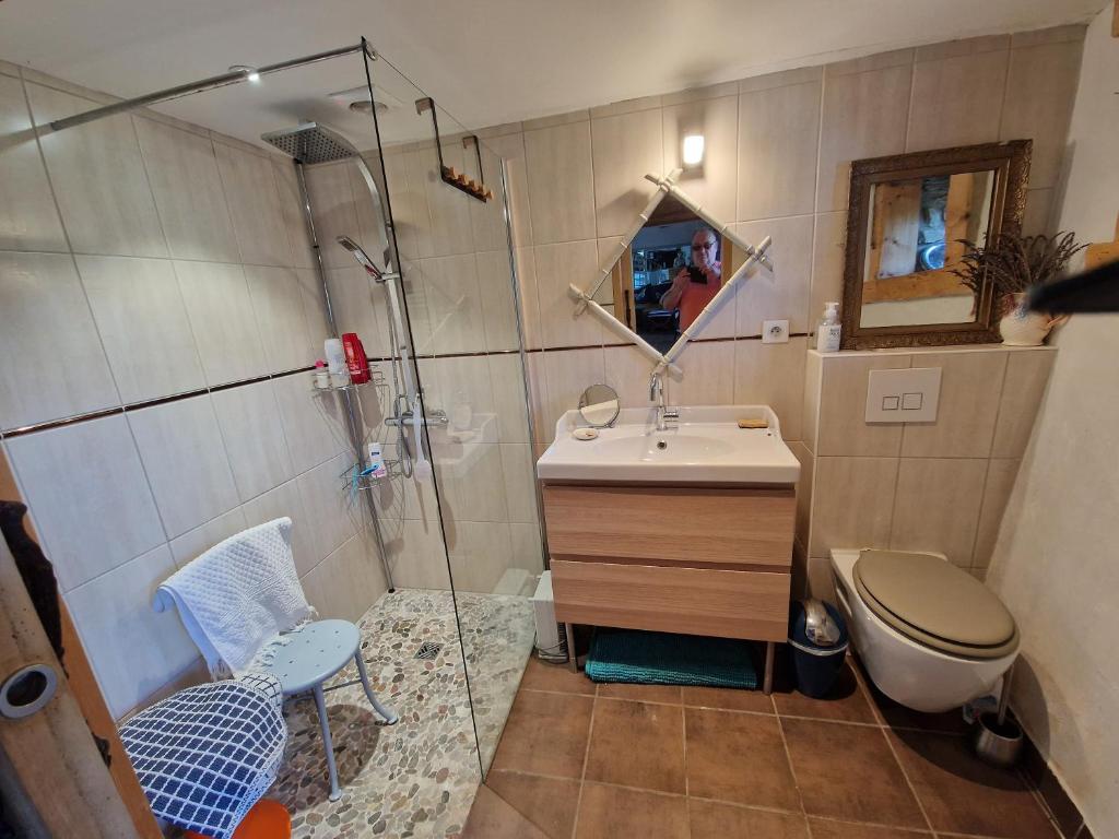 a bathroom with a shower and a sink and a toilet at La maison du vigneron in Auzon