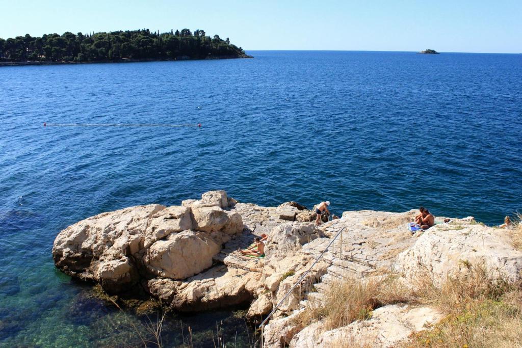 Príroda v okolí apartmánu