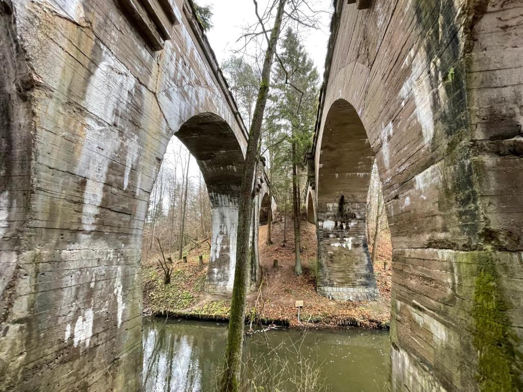 Fotografia z galérie ubytovania Szarejkowy GLAMP v destinácii Szarejki