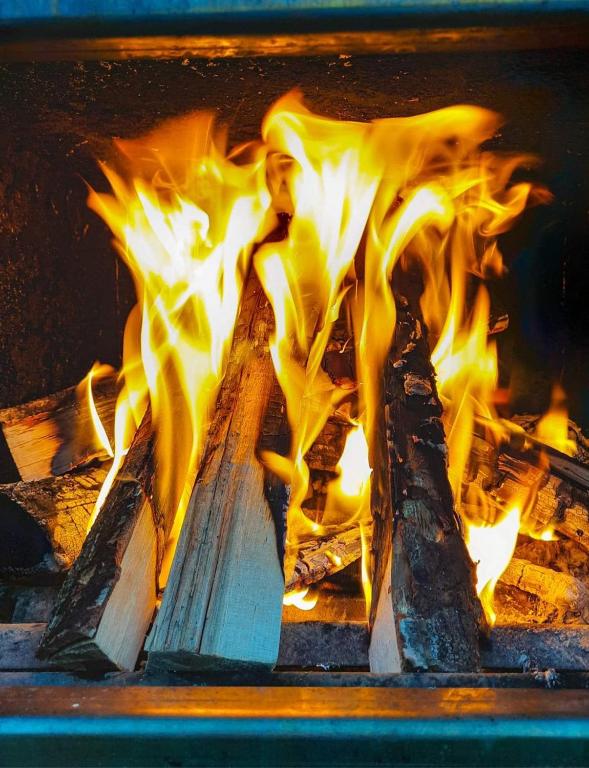 Fotografia z galérie ubytovania Szarejkowy GLAMP v destinácii Szarejki