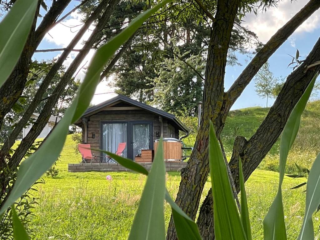 a cabin in the middle of a field with trees at Szarejkowy GLAMP in Szarejki