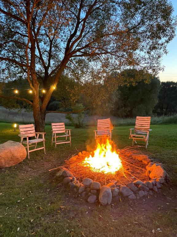 Vonkajšia záhrada v ubytovaní Szarejkowy GLAMP