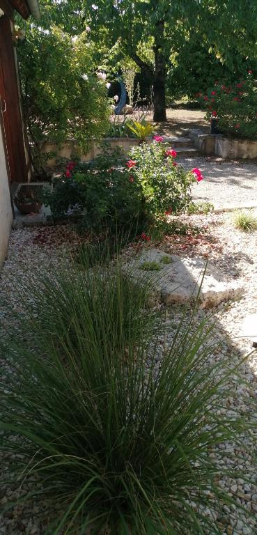 a garden with plants and flowers in a yard at L&#39;Orme Seul, Maison d&#39;hôtes in Vineuil