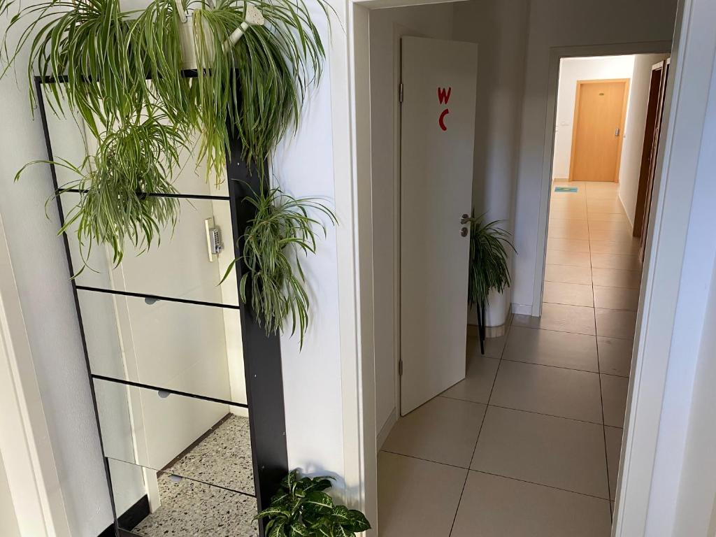 Fotografie z fotogalerie ubytování Apartment CHEZ TONY v destinaci Strassen