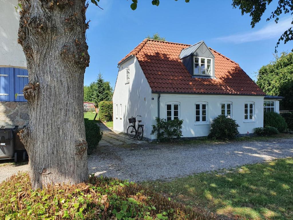 uma casa branca com um telhado vermelho ao lado de uma árvore em Slotsgaardens hus em Jels