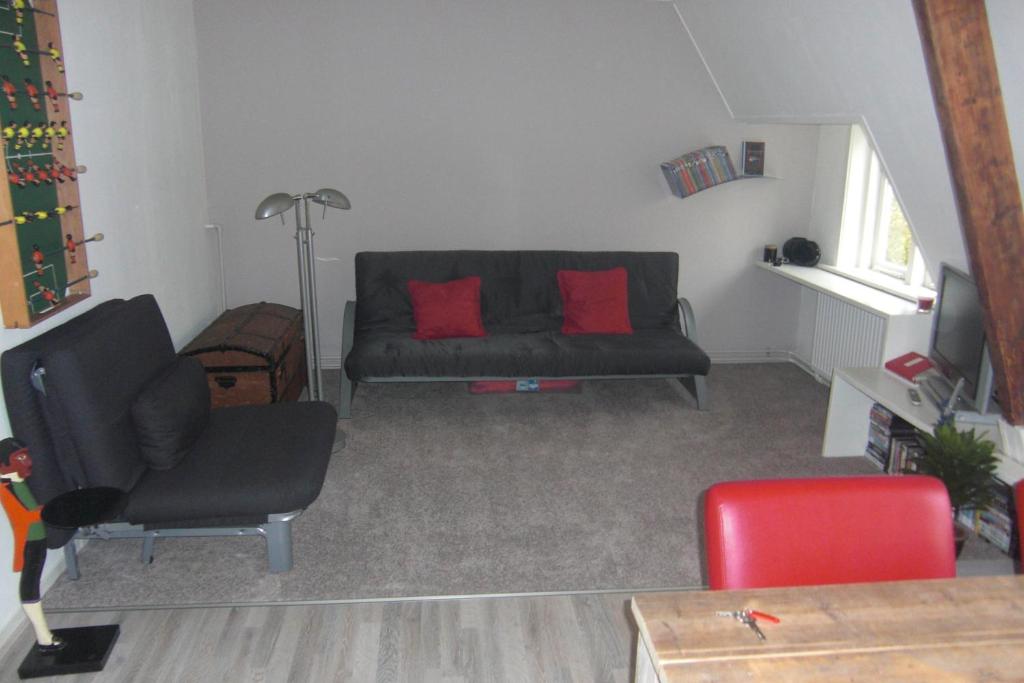 sala de estar con sofá negro y almohadas rojas en B&B De Goffert en Nijmegen