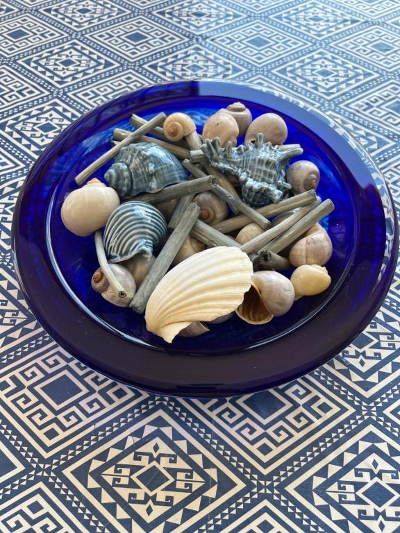 a blue plate filled with shells on a table at Marianna's Holidays in Montepaone
