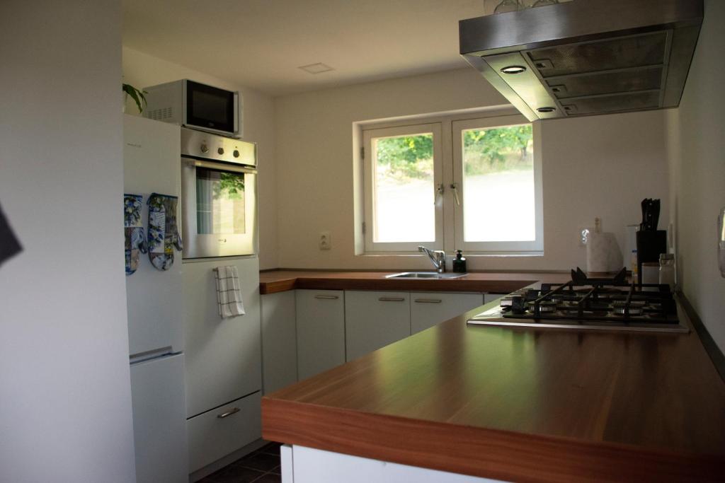a kitchen with a white refrigerator and a counter top at Chata Na Vyhlídce in Železnice